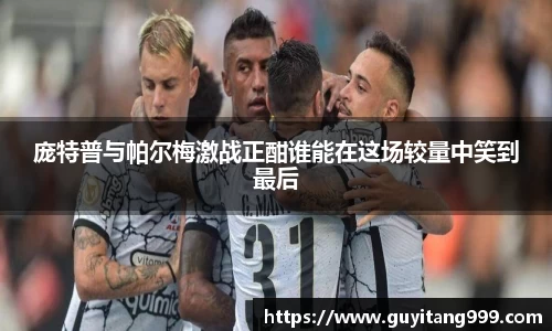 庞特普与帕尔梅激战正酣谁能在这场较量中笑到最后